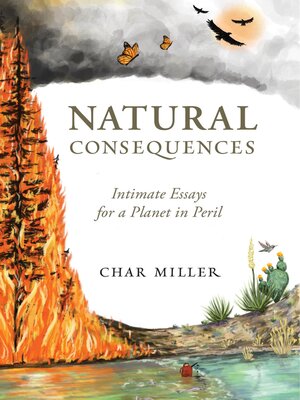 cover image of Natural Consequences